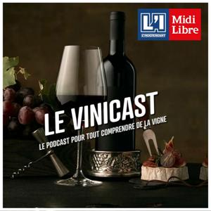 LE VINICAST