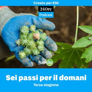 Sei passi per il domani - Terza stagione