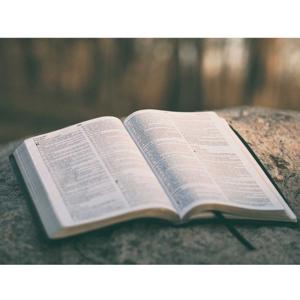 Tracing the Bible Storyline