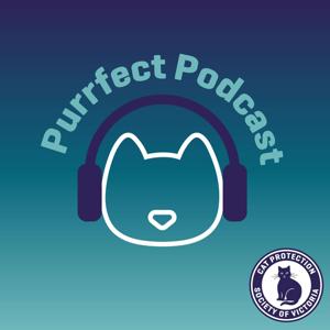 Purrfect Podcast