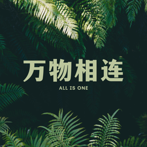 万物相连 All is One