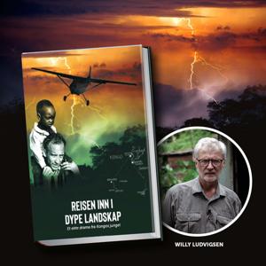 Willy Ludvigsens lydbok: Reisen inn i dype landskap