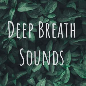 Deep Breath Sounds