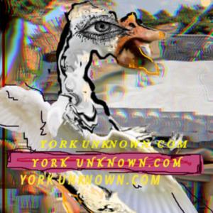 https://yorkunknown.com