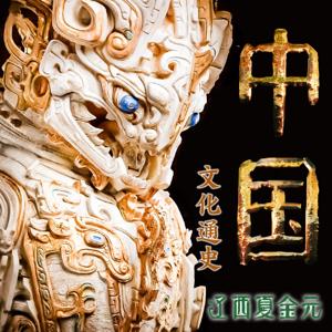 中国文化通史 六：辽西夏金元卷（全十册）