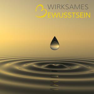 Wirksames Bewusstsein - von und mit Bettina Kosian