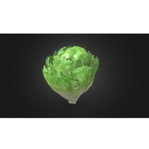 The Lettuce Eating Podcast