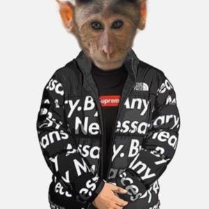 Snoop Monke