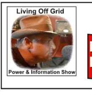 Saving Money Over the Holidays, Winter Foraging, Heating With Wood and More