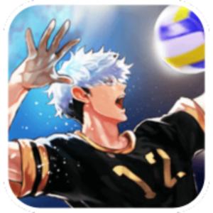 Best Volleyball Game "The Spike"