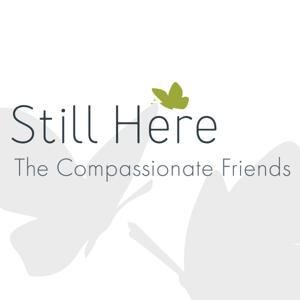 Still Here