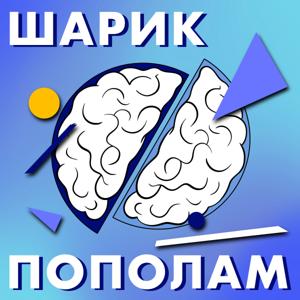 Шарик пополам