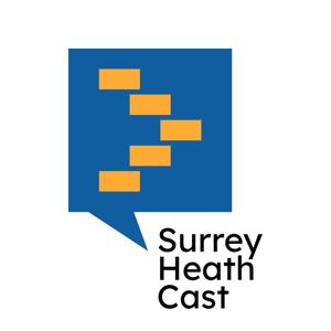 Surrey Heath Cast: notes from the 'Blue Wall'