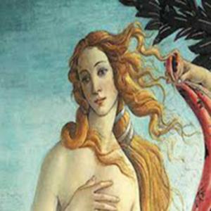 VISA3006_Group5_TermAssignment