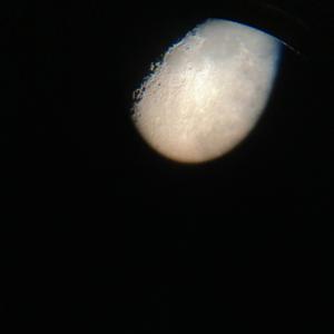 Defective braining