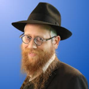 לומדים עם הרב משה טברדוביץ