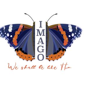 Imago