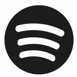 Songs that are not available on Spotify