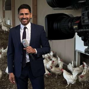 TeleZüri Fernandez - on & off air