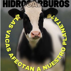 Hidrocarburos y contaminación