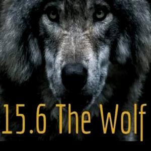 15.6 The Wolf