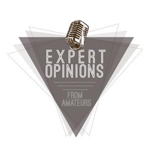 Expert Opinions From Amateurs