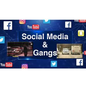 Violence Associated with Gangs and How It Is Declared in the Media