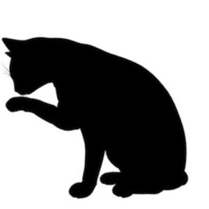 猫背RADIO