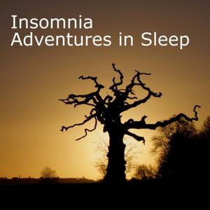 Insomnia Adventure in Sleep