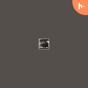 The music beat Podcast tmbp