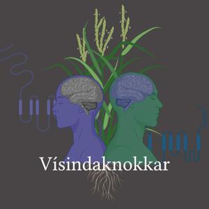 Vísindaknokkar
