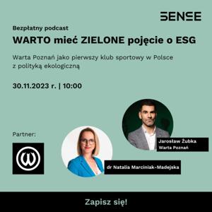 SENSE consulting