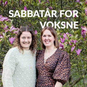 Sabbatår for voksne