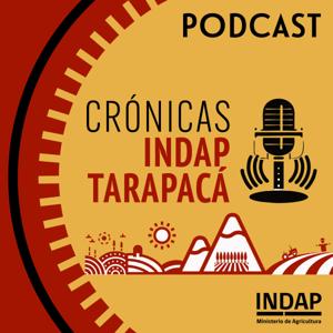 Crónicas Indap Tarapacá