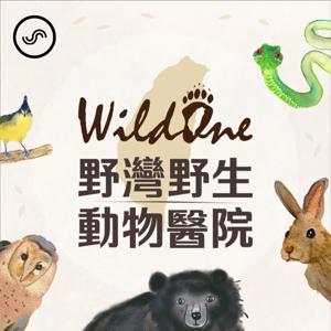 野灣野生動物醫院