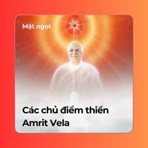 Các chủ điểm thiền Amrit Vela