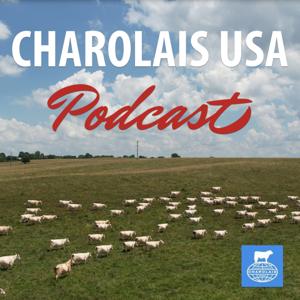 Charolais USA by Charolais USA