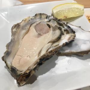 在澳洲流浪的菜菜