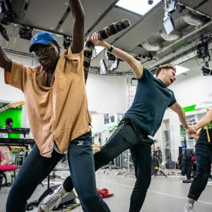 Episode 13 - Regrets, Rats & Bees