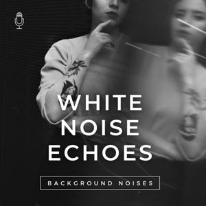 White Noise Echoes