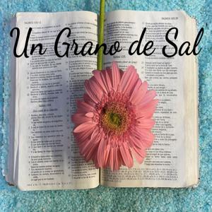 Un Grano de Sal