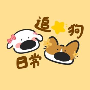 追🌟🐶日常