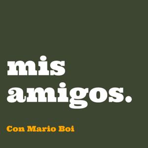 Mis amigos