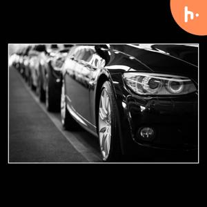 Stampede Auto Used Cars Dealers Scholarship for students.