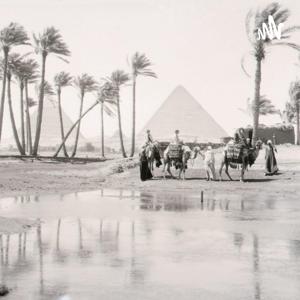 صفحات مصرية..