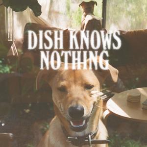 Dish Knows Nothing