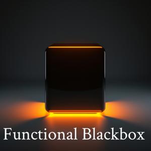 Functional Blackbox