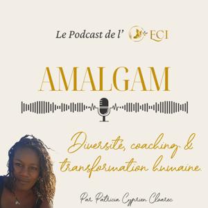 Amalgam : Inclusion, diversité et transformation humaine