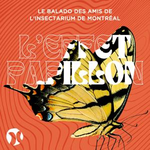 L'Effet papillon