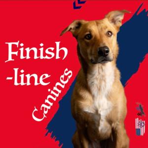 Finish-Line Canines